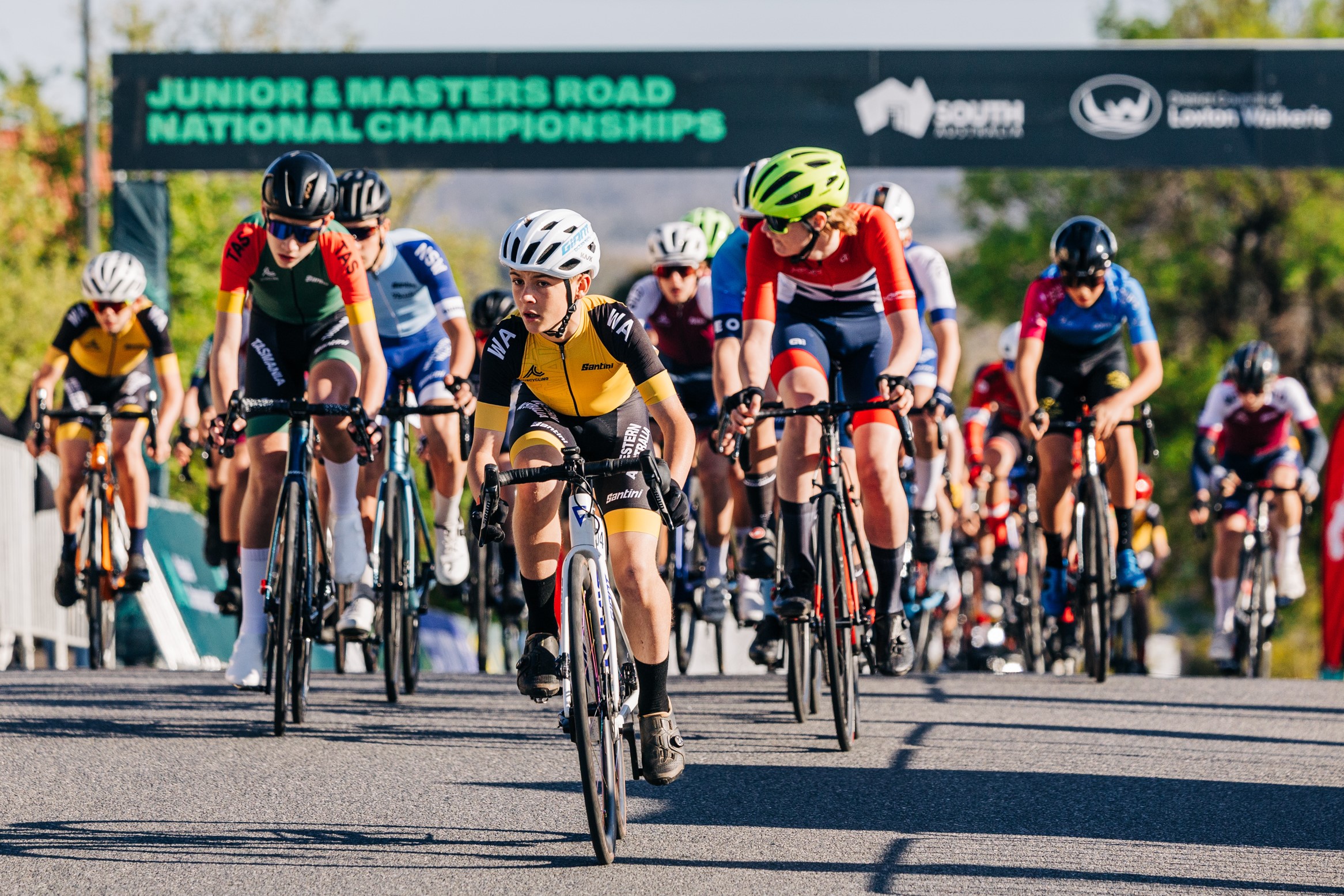 A junior men's race during the 2024 AusCycling Masters and Junior Road National Championships in Loxton, South Australia. Photo by James Raison